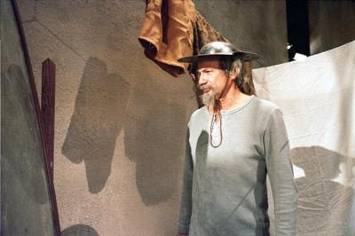 Don Quijote o las desaventuras de un hombre en cólera